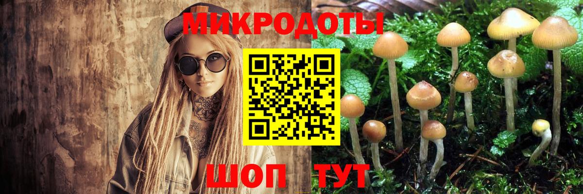 Галлюциногенные грибы мицелий Павловский Посад