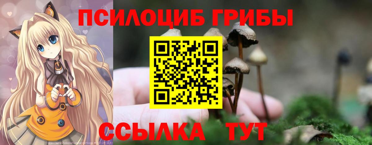 Павловский Посад  Галлюциногенные грибы ЛСД  Вход с VPN 
